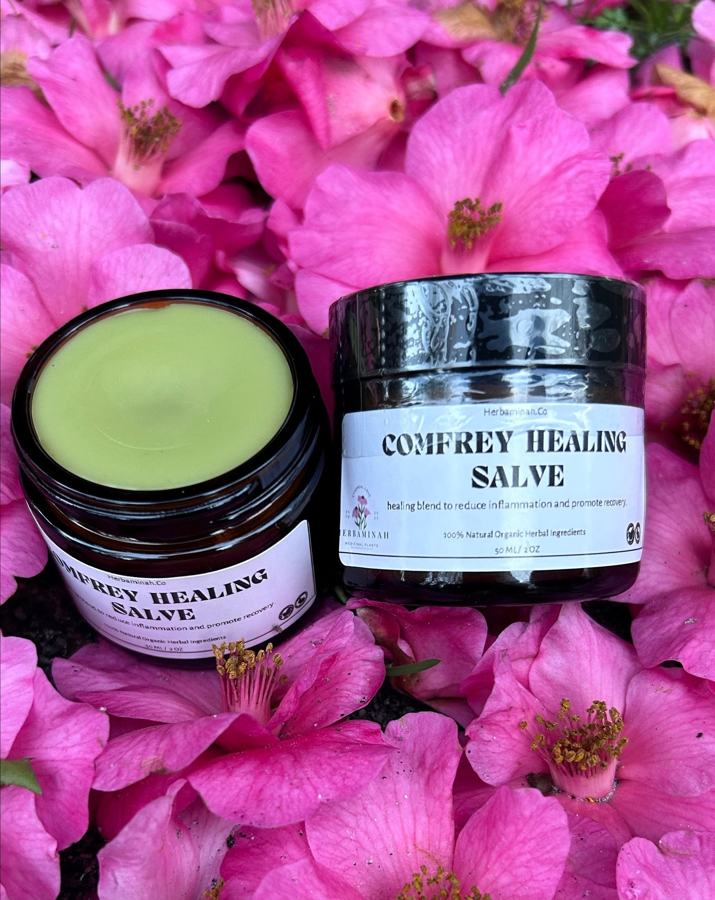 Comfort Comfrey Salve