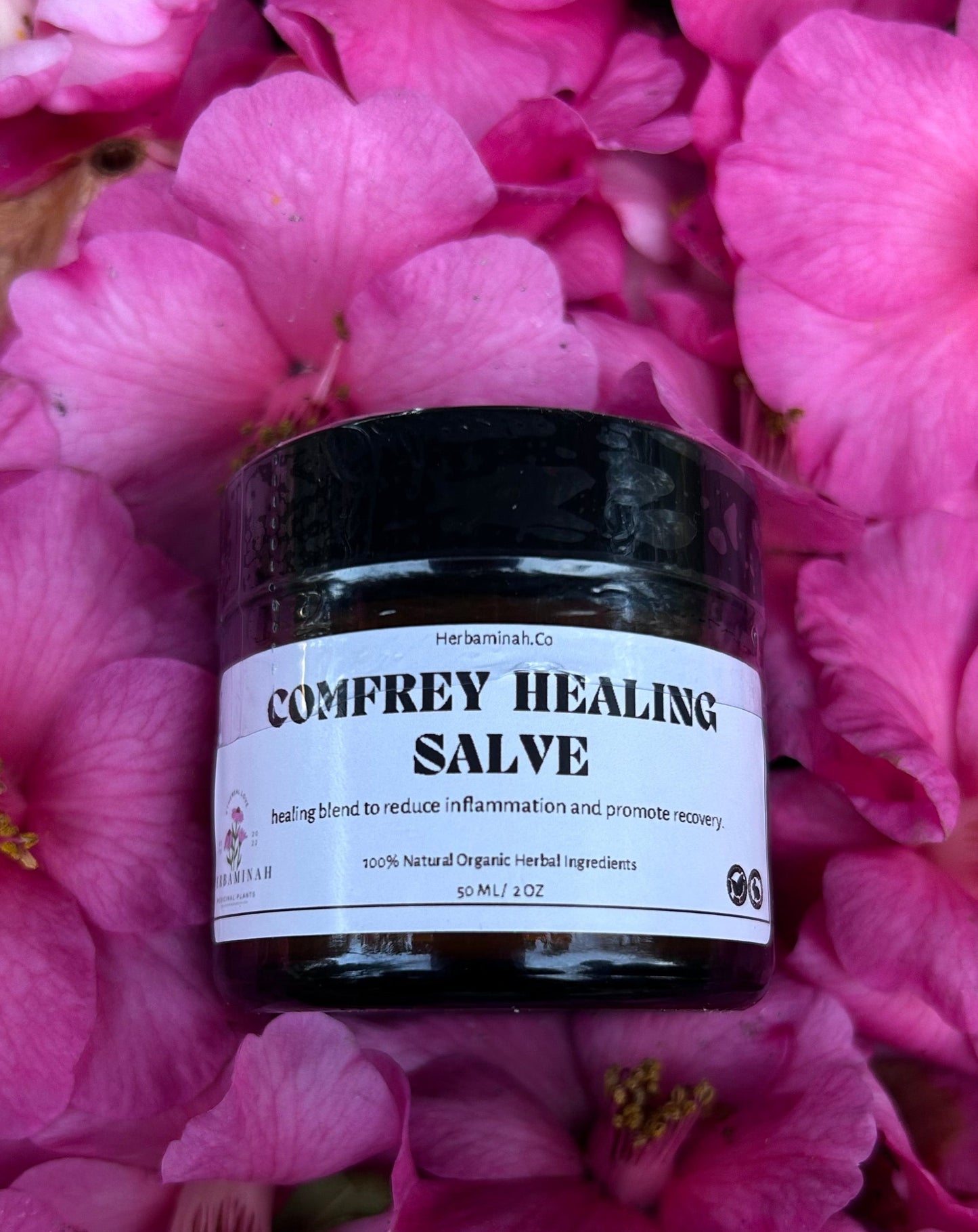 Comfort Comfrey Salve