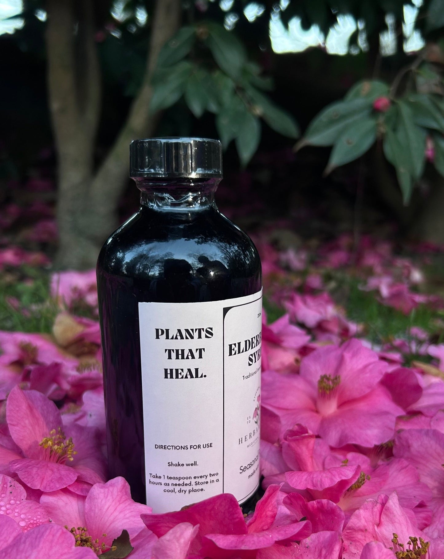 Elderberry Syrup: Traditional Immune Support