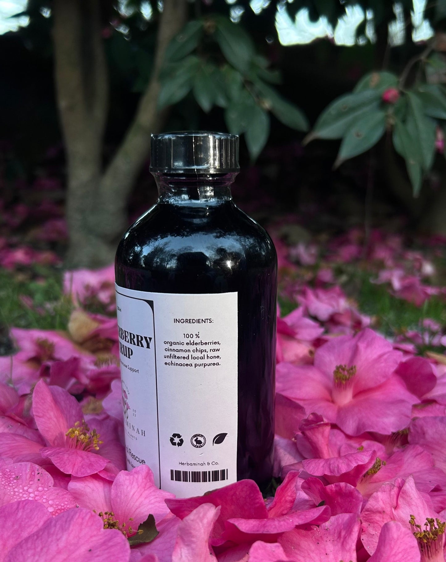 Elderberry Syrup: Traditional Immune Support