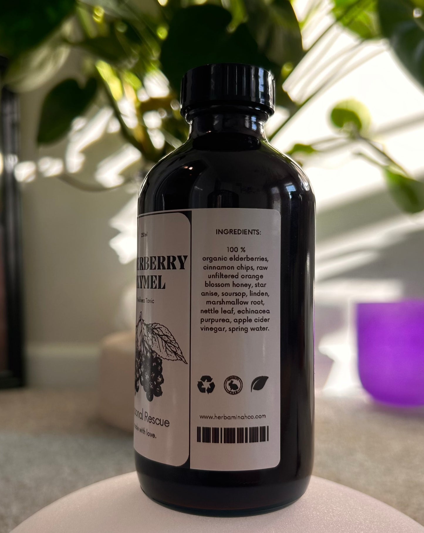 Elderberry Elixir Oxymel