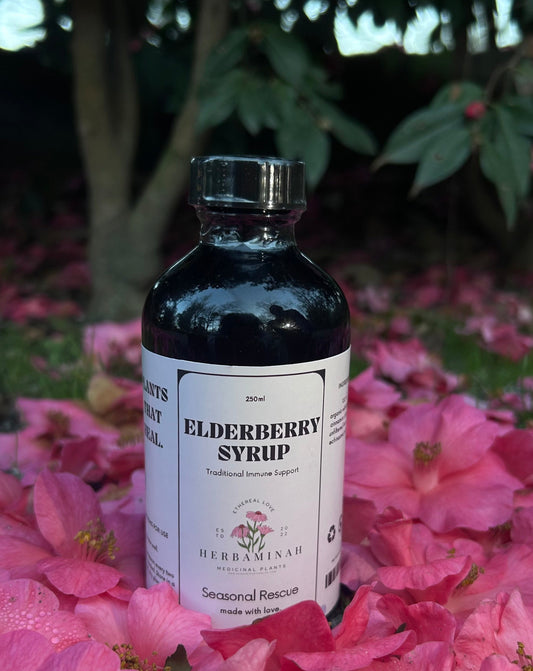 Elderberry Syrup: Traditional Immune Support
